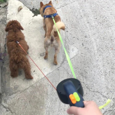 Dual-Dog Walking Leash with LED Illumination and Rotating Swivel