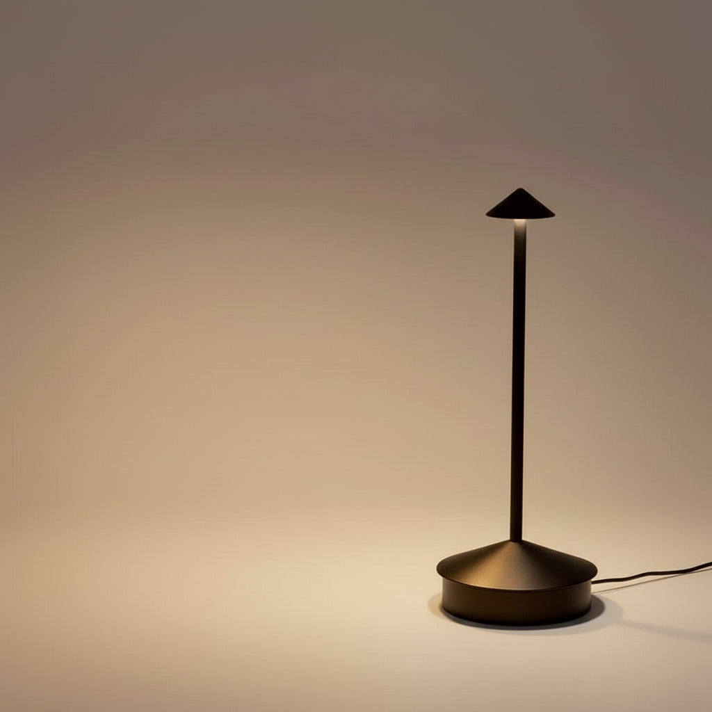 Rechargeable LED Desk Lamp with Touch Control and Three Color Modes, USB Charging