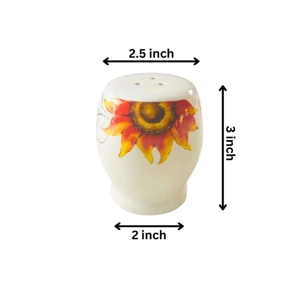 Ceramic Pumpkin Salt and Pepper Shaker Set with Harvest Design