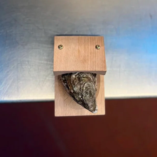 Wooden Oyster Shucking Clamp with Table Edge Mount and Screw Tightening