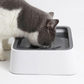 Dog Water Bowl with Floating Disk Control and Non-Slip Base, 1.5 Liter