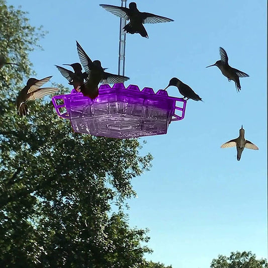 Hummingbird Feeder with Bee-Resistant Hexagonal Ports and 12oz Capacity All Vera Mart