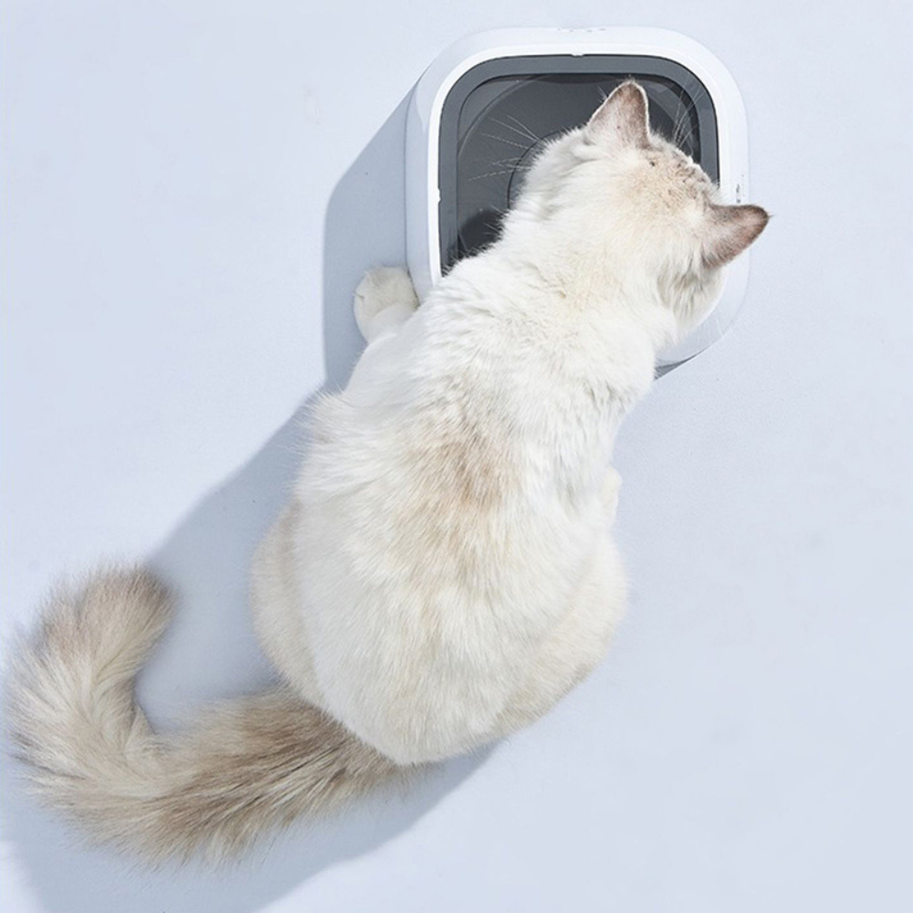 Dog Water Bowl with Floating Disk Control and Non-Slip Base, 1.5 Liter