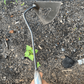 Steel Garden Hoe with Sharp Cutting Edges and Non-Slip Handle, Extension Rod Compatible