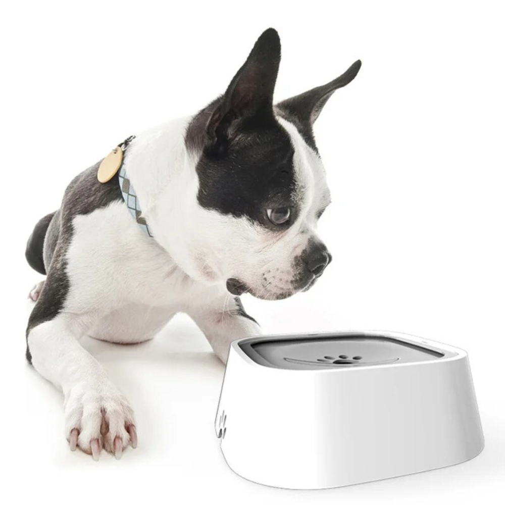 Dog Water Bowl with Floating Disk Control and Non-Slip Base, 1.5 Liter