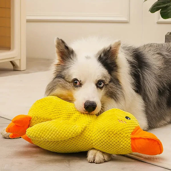 Calming Durable Duck Toy for Dogs