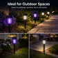 Solar Bug Zapper with Automatic Dusk Sensor and Dual Mode, Ground Stake Installation All Vera Mart