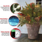 LED Urn Filler with 35 Warm White Lights and Evergreen Branches, 18in Base
