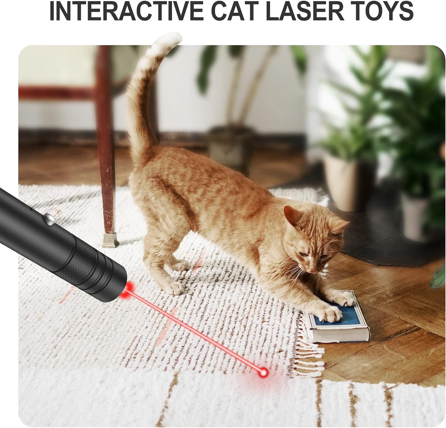 Green Laser Pointer with Rechargeable Battery and Starry Pattern, 2000ft Range