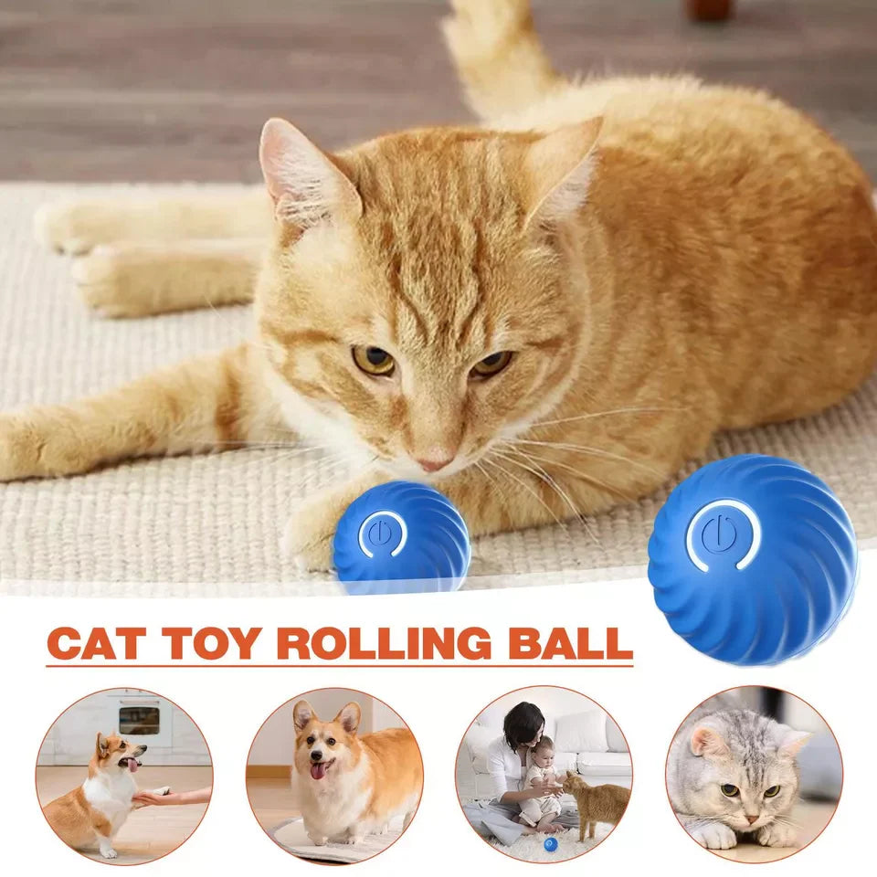 Automatic Active Rolling Ball for Pets and Stress Relief