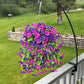 UV Resistant Artificial Morning Glory Hanging Decor