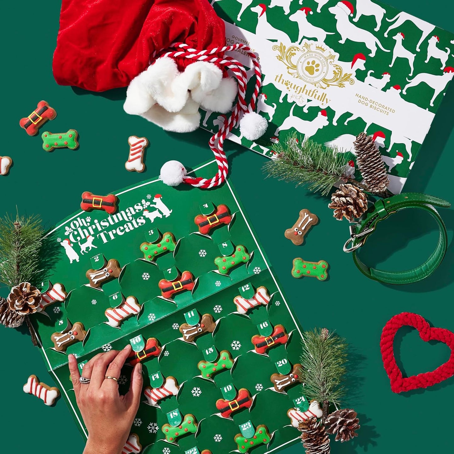 Dog Treat Advent Calendar with 24 Gingerbread Biscuits and Hand Decorated Designs