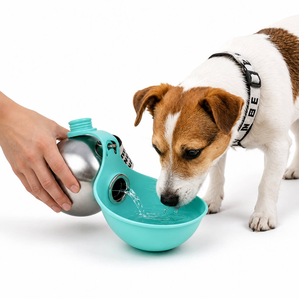 2 in 1 Portable Dog Water Bottle, 10 oz Stainless Steel Tumbler with Foldable Silicone Bowl