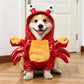 Dog Costume, Creepy Halloween Costume with Padded Arms and 3D Walking Look for Trick or Treating