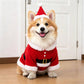 Dog Costume, Creepy Halloween Costume with Padded Arms and 3D Walking Look for Trick or Treating