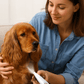Rechargeable Pet Trimmer with Ceramic Blades and LED Light, 35dB Quiet