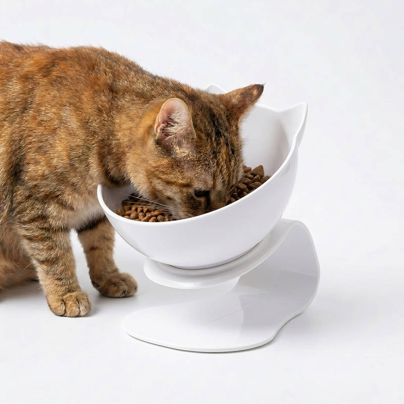 Anti Vomiting Cat Bowl Elevated, Orthopedic Pet Feeding Bowl for Cats Reduces Vomiting Healthy Eating