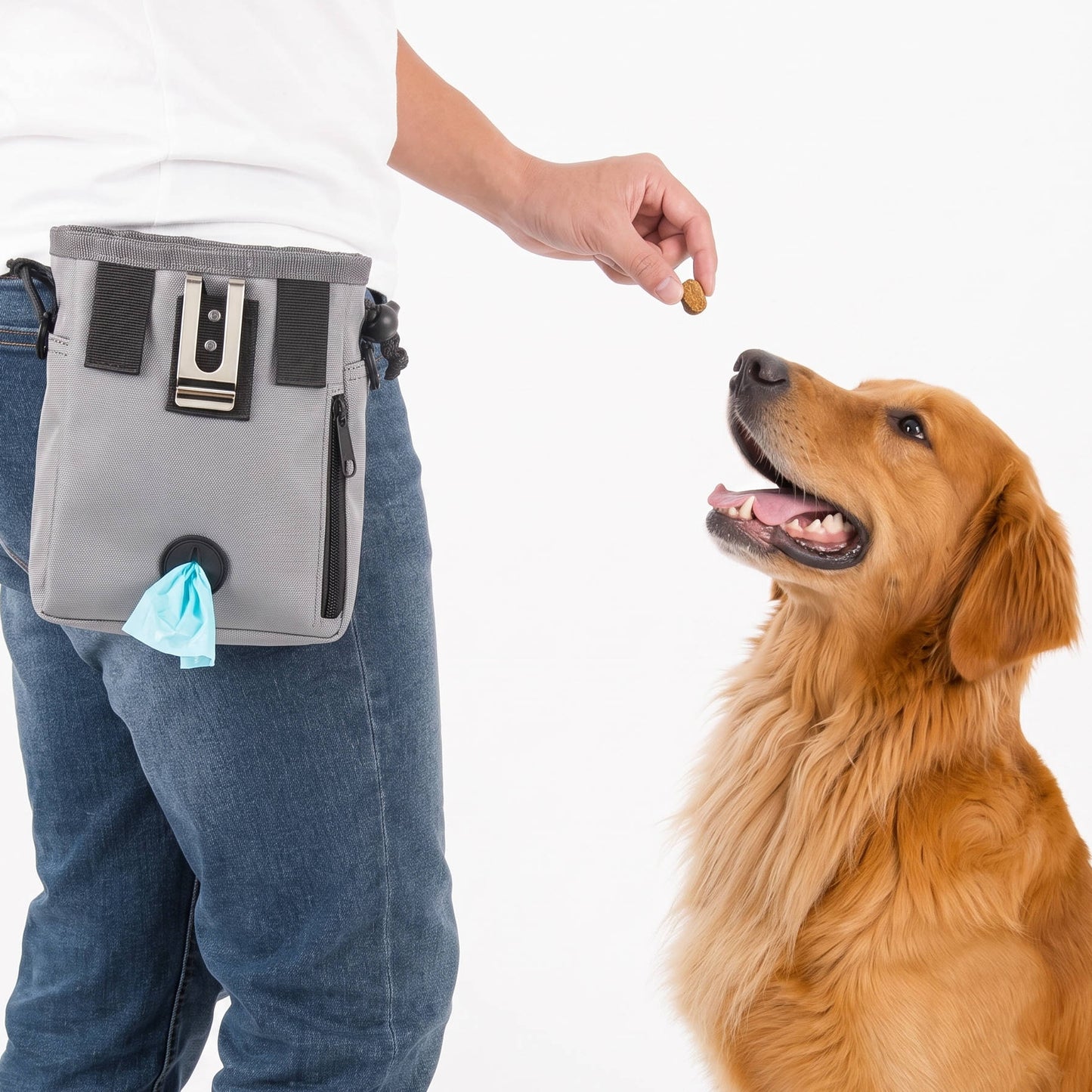 Dog & Bird Training & Travel Treat Pouch Bag, Gray Pet Training Snack Bag