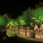 Red and Green Laser Projector with 1000 LED Dots and Multiple Display Modes for Outdoor Decoration
