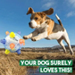 Interactive LED Jumping Activation Ball for Dogs