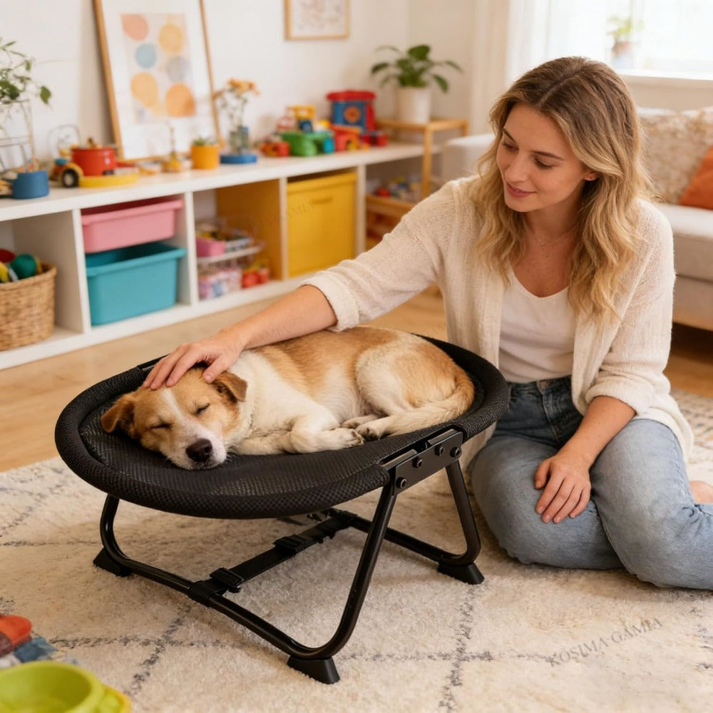 Elevated Pet Bed with Breathable Mesh Platform and Iron Frame, Foldable Design