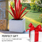Metal Agave Plant Decorative Accent with Rust Finish and Weather Resistant Coating