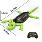 Remote Control Lizard Toy 360 Movement Kids Adults - LICHTZOONE