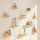 Half Round Wooden Floating Shelf Modern Wall Mounted Wall Display