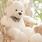 Giant Plush Bear Stuffed Animal Kids Soft Cuddly Toy - LICHTZOONE
