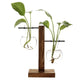 Hydroponic Plant Propagation Vase with Wooden Frame and Clear Glass Containers