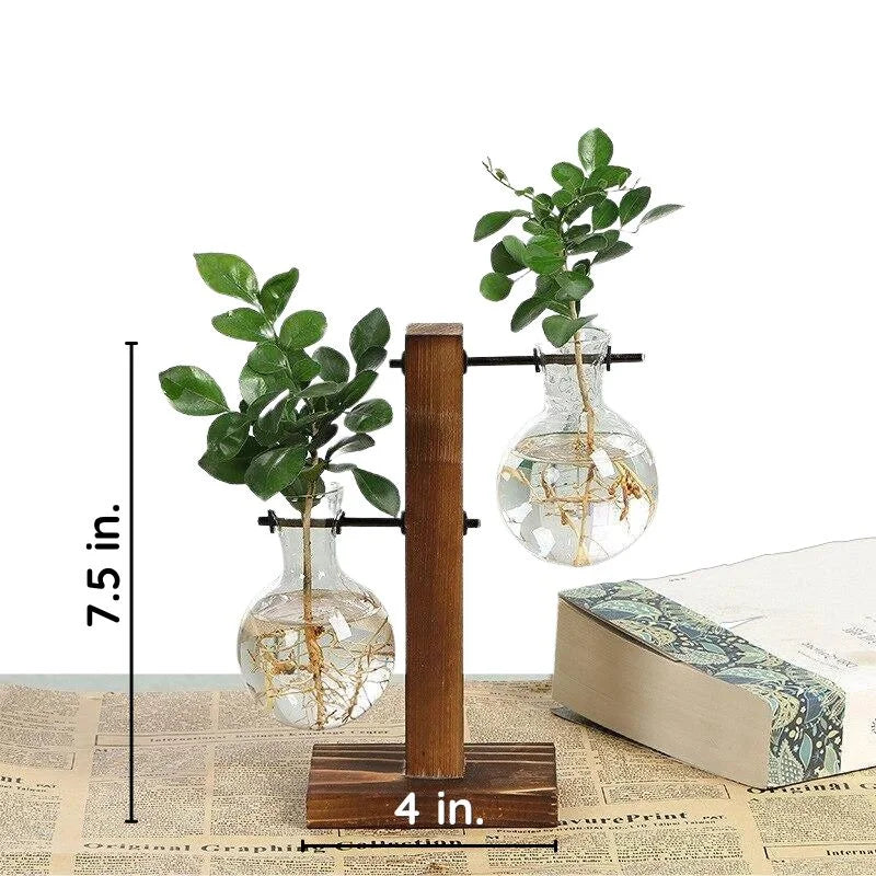 Hydroponic Plant Propagation Vase with Wooden Frame and Clear Glass Containers