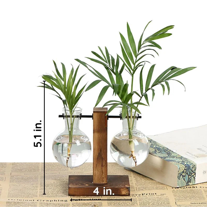 Hydroponic Plant Propagation Vase with Wooden Frame and Clear Glass Containers