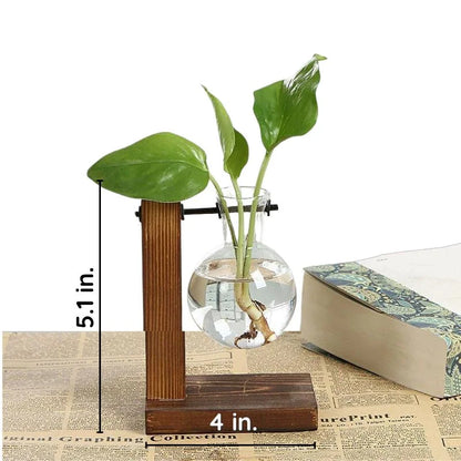 Hydroponic Plant Propagation Vase with Wooden Frame and Clear Glass Containers