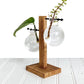Hydroponic Plant Propagation Vase with Wooden Frame and Clear Glass Containers