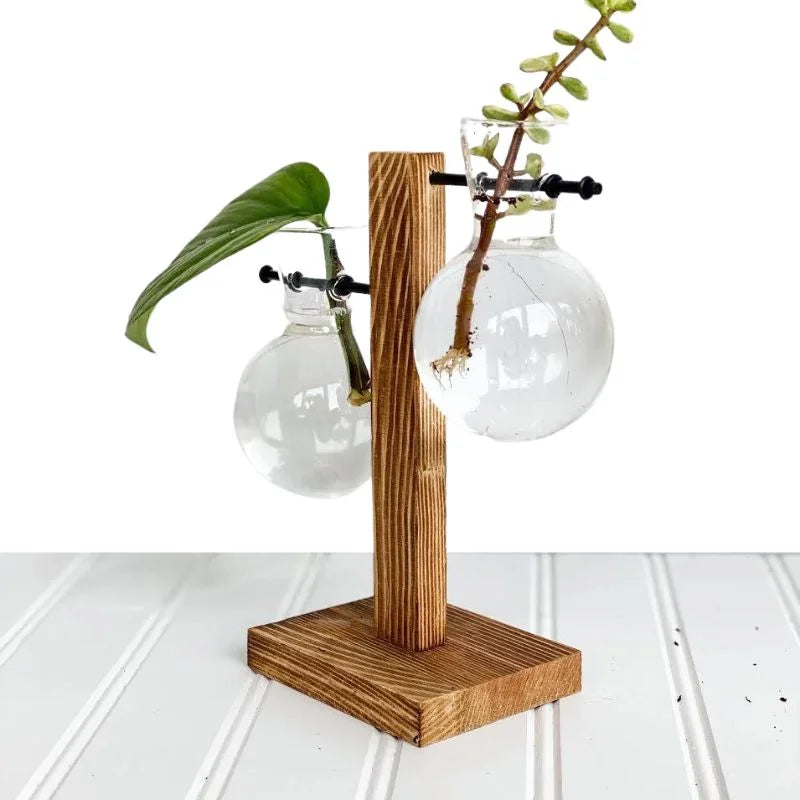 Hydroponic Plant Propagation Vase with Wooden Frame and Clear Glass Containers