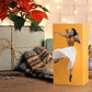Tissue Box Cover with Billowing Skirt and Removable Weighted Base, Fits Standard Refills