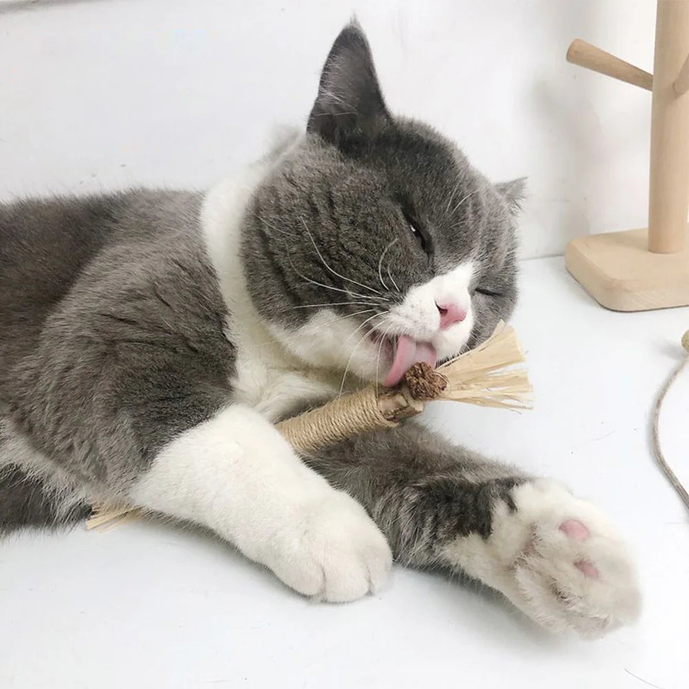 Cat Chew Sticks with Silvervine and Catnip, Tartar Control Set of 3