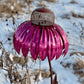 Bird Feeder with Coneflower Design and Weather-Resistant Metal Build, Hanging Hook