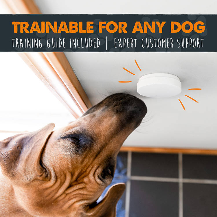 Door Bell for Dogs Potty Training, Adjustable Dog Doorbells for Housebreaking and Puppy Training