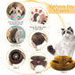 Interactive Cat Scratcher with Ball Track and Magnetic Panels