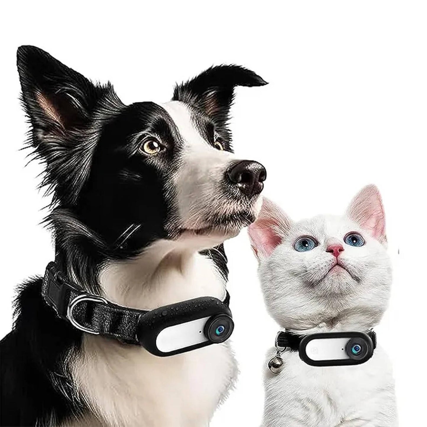 Wireless Tracking Camera Dog & Cat Collar, HD Pet Camera with Real Time Recording