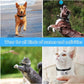 Wireless Tracking Camera Dog & Cat Collar, HD Pet Camera with Real Time Recording