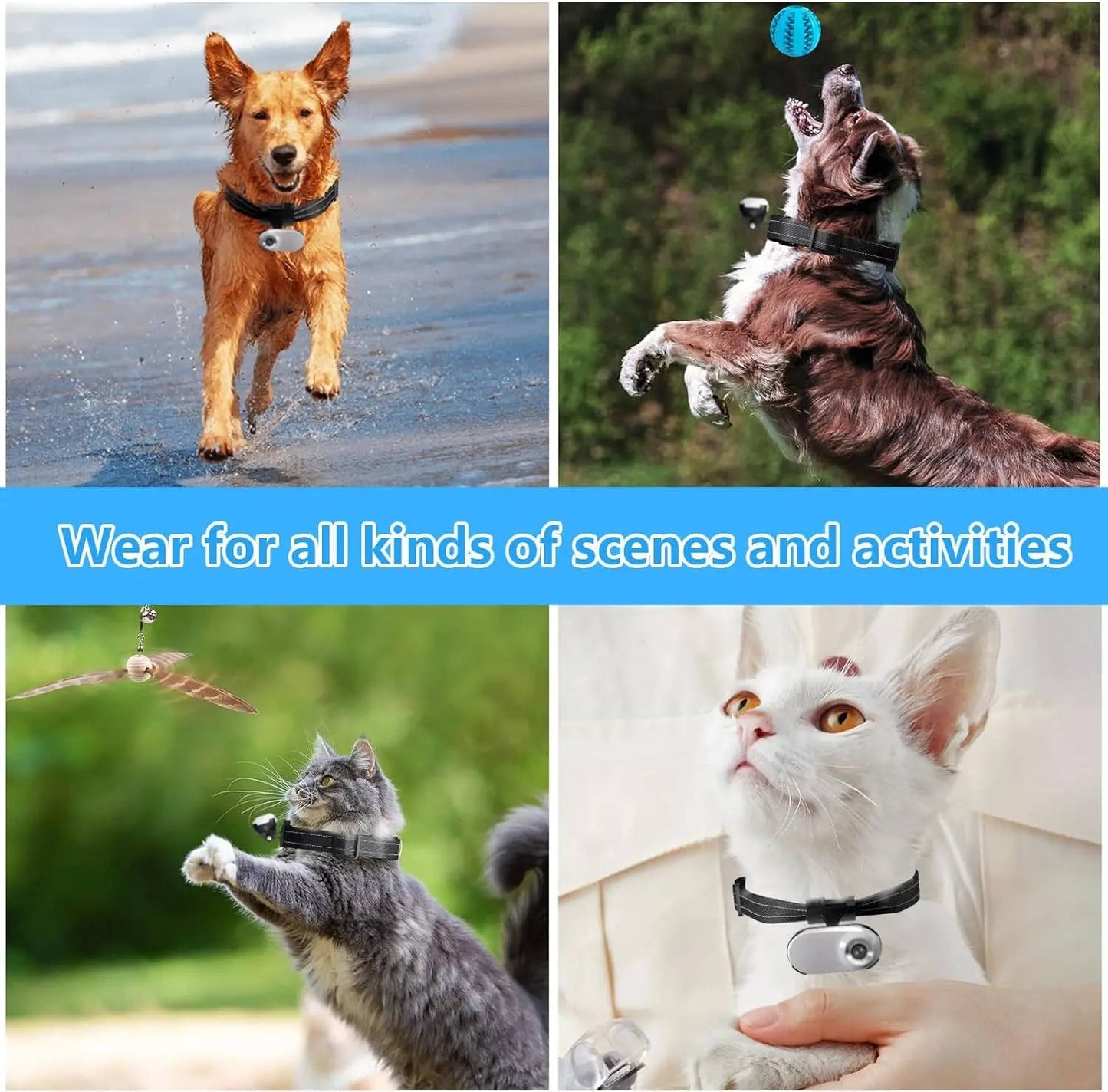 Wireless Tracking Camera Dog & Cat Collar, HD Pet Camera with Real Time Recording