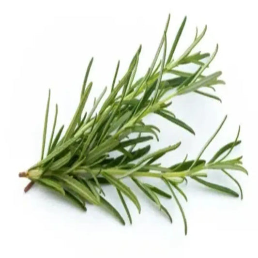 Tea Tree Oil and Borneol Skin Care Serum for Cosmetic Use