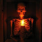 Framed Skeleton Torso Wall Display with Flashing Candle Bulb and Wooden Frame