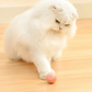 Smart Playtime Cat Toy