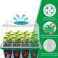 Seed Starter Tray with Full Spectrum Grow Light and Raised Dome