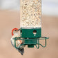 Squirrel Resistant Bird Feeder with Spinning Perch and Five-Pound Seed Capacity