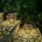 Solar LED Pendant Light with Remote Control and Extended Cord for Outdoor Patios