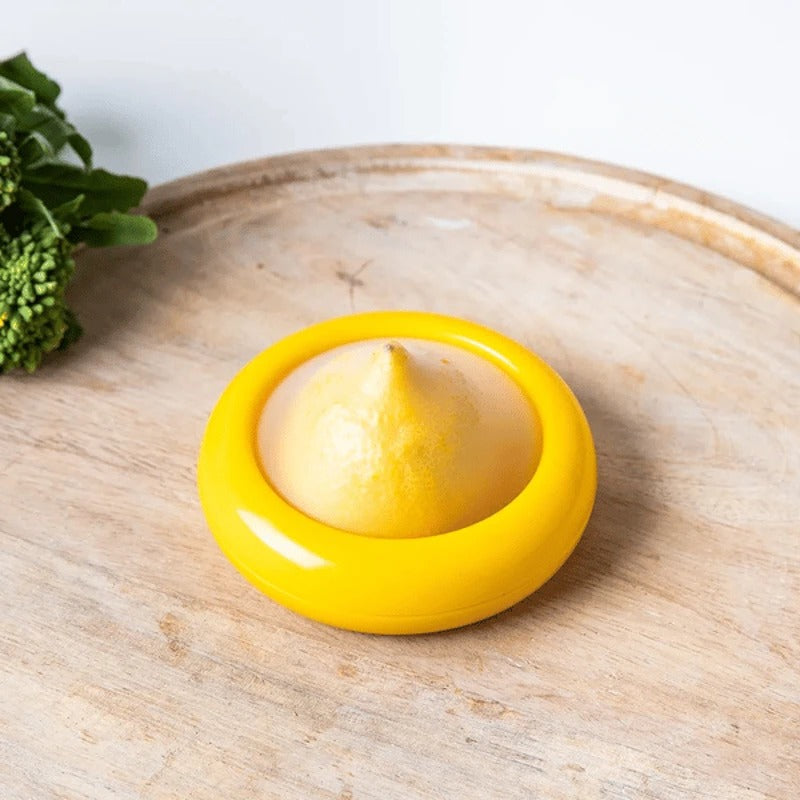 Produce Storage Container with Flexible Stretch Lid and Rounded Shape